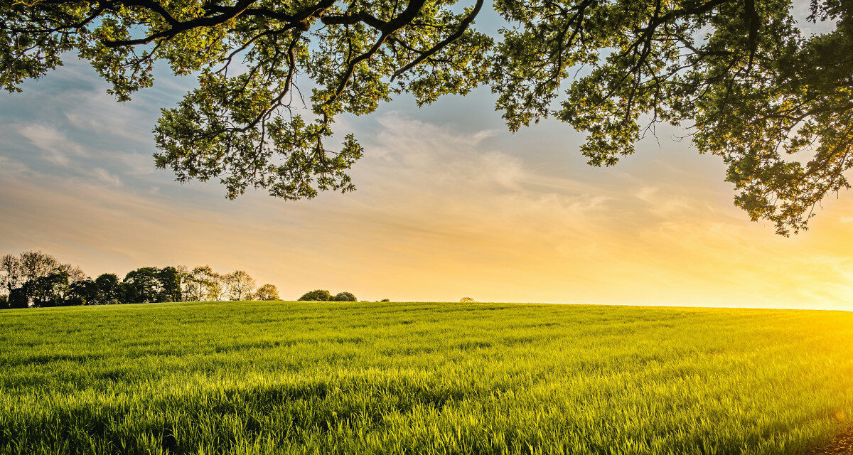 Zarządzanie flotą pojazdów specjalistycznych – strategie optymalizacji kosztów